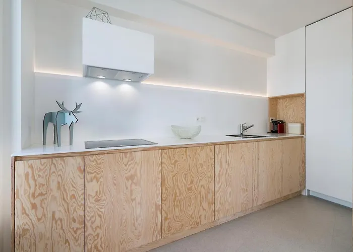 Appartement De Zwemmer - Practical, Optimized App With Garage *